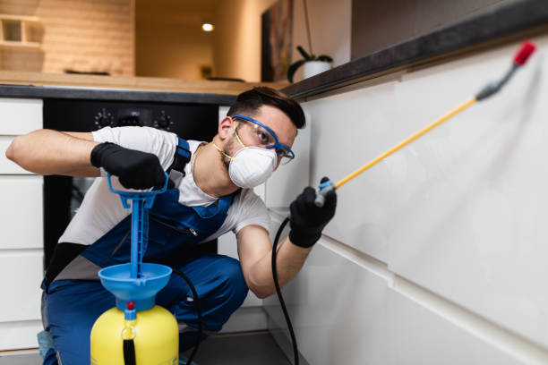 Trusted Tulare, CA Pest Control Experts