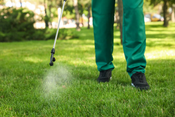 Professional Pest Control in Tulare, CA