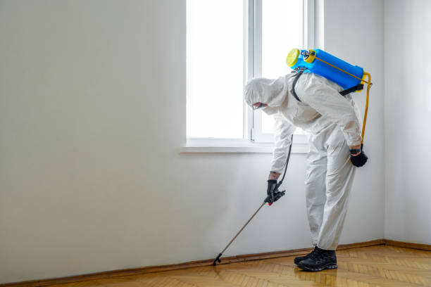Best Emergency Pest Control  in Tulare, CA