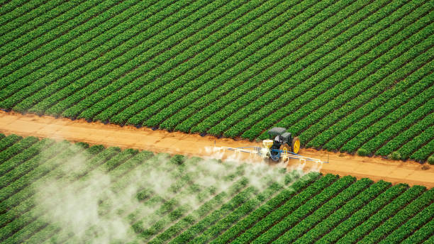 Best Pest Inspection Near Me  in Tulare, CA