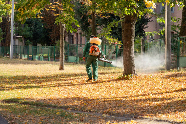 Best Best Pest Control Companies  in Tulare, CA