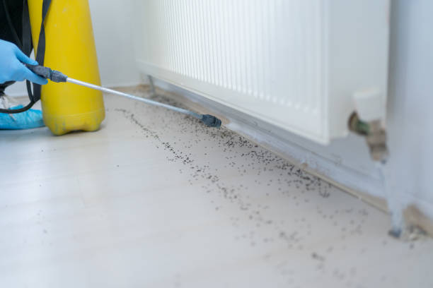 Best Bed Bug Extermination  in Tulare, CA